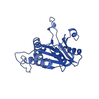 20879_6uth_R_v1-2
Allosteric coupling between alpha-rings of 20S proteasome, 20S proteasome singly capped with a PA26/E102A_PANc, together with LFP incubation