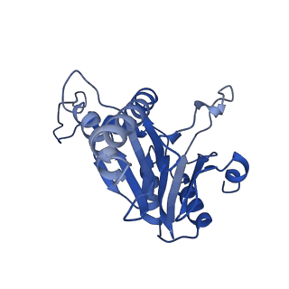 20879_6uth_S_v1-1
Allosteric coupling between alpha-rings of 20S proteasome, 20S proteasome singly capped with a PA26/E102A_PANc, together with LFP incubation