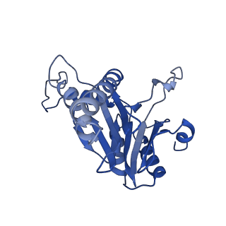 20879_6uth_S_v1-2
Allosteric coupling between alpha-rings of 20S proteasome, 20S proteasome singly capped with a PA26/E102A_PANc, together with LFP incubation