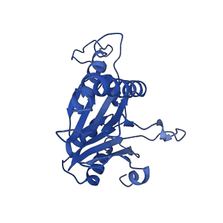 20879_6uth_T_v1-1
Allosteric coupling between alpha-rings of 20S proteasome, 20S proteasome singly capped with a PA26/E102A_PANc, together with LFP incubation