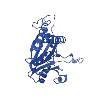 20879_6uth_T_v1-2
Allosteric coupling between alpha-rings of 20S proteasome, 20S proteasome singly capped with a PA26/E102A_PANc, together with LFP incubation