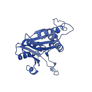 20879_6uth_U_v1-1
Allosteric coupling between alpha-rings of 20S proteasome, 20S proteasome singly capped with a PA26/E102A_PANc, together with LFP incubation