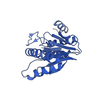 20879_6uth_W_v1-1
Allosteric coupling between alpha-rings of 20S proteasome, 20S proteasome singly capped with a PA26/E102A_PANc, together with LFP incubation