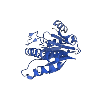 20879_6uth_W_v1-2
Allosteric coupling between alpha-rings of 20S proteasome, 20S proteasome singly capped with a PA26/E102A_PANc, together with LFP incubation