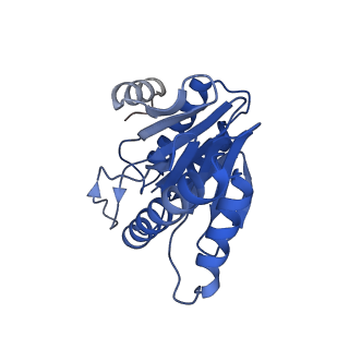 20879_6uth_X_v1-1
Allosteric coupling between alpha-rings of 20S proteasome, 20S proteasome singly capped with a PA26/E102A_PANc, together with LFP incubation