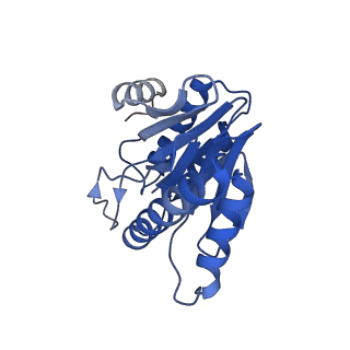 20879_6uth_X_v1-2
Allosteric coupling between alpha-rings of 20S proteasome, 20S proteasome singly capped with a PA26/E102A_PANc, together with LFP incubation