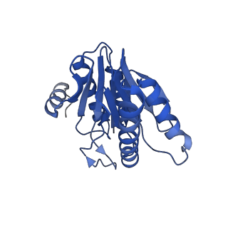20879_6uth_Y_v1-1
Allosteric coupling between alpha-rings of 20S proteasome, 20S proteasome singly capped with a PA26/E102A_PANc, together with LFP incubation