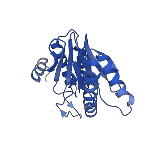 20879_6uth_Y_v1-2
Allosteric coupling between alpha-rings of 20S proteasome, 20S proteasome singly capped with a PA26/E102A_PANc, together with LFP incubation