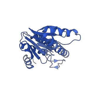 20879_6uth_Z_v1-1
Allosteric coupling between alpha-rings of 20S proteasome, 20S proteasome singly capped with a PA26/E102A_PANc, together with LFP incubation