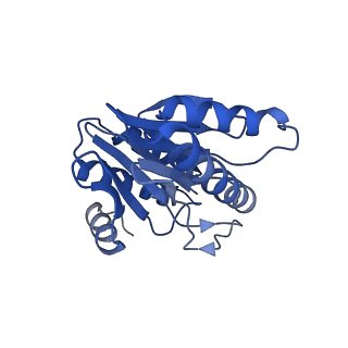 20879_6uth_Z_v1-2
Allosteric coupling between alpha-rings of 20S proteasome, 20S proteasome singly capped with a PA26/E102A_PANc, together with LFP incubation