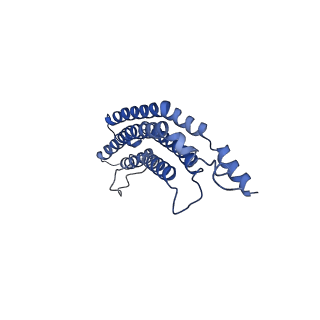 20879_6uth_a_v1-2
Allosteric coupling between alpha-rings of 20S proteasome, 20S proteasome singly capped with a PA26/E102A_PANc, together with LFP incubation