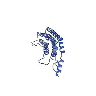 20879_6uth_b_v1-1
Allosteric coupling between alpha-rings of 20S proteasome, 20S proteasome singly capped with a PA26/E102A_PANc, together with LFP incubation