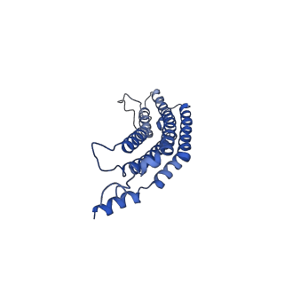 20879_6uth_c_v1-2
Allosteric coupling between alpha-rings of 20S proteasome, 20S proteasome singly capped with a PA26/E102A_PANc, together with LFP incubation