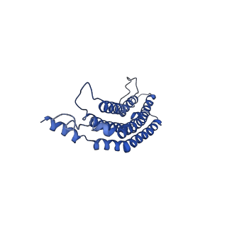 20879_6uth_d_v1-1
Allosteric coupling between alpha-rings of 20S proteasome, 20S proteasome singly capped with a PA26/E102A_PANc, together with LFP incubation