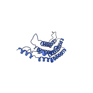 20879_6uth_d_v1-2
Allosteric coupling between alpha-rings of 20S proteasome, 20S proteasome singly capped with a PA26/E102A_PANc, together with LFP incubation