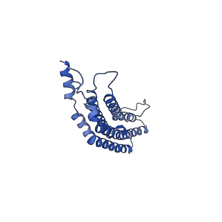 20879_6uth_e_v1-2
Allosteric coupling between alpha-rings of 20S proteasome, 20S proteasome singly capped with a PA26/E102A_PANc, together with LFP incubation