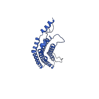 20879_6uth_f_v1-1
Allosteric coupling between alpha-rings of 20S proteasome, 20S proteasome singly capped with a PA26/E102A_PANc, together with LFP incubation