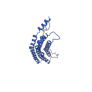 20879_6uth_f_v1-2
Allosteric coupling between alpha-rings of 20S proteasome, 20S proteasome singly capped with a PA26/E102A_PANc, together with LFP incubation