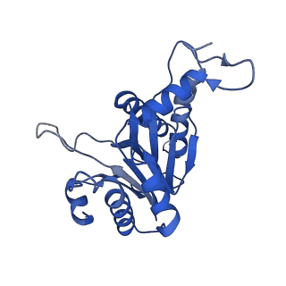 20880_6uti_A_v1-1
Allosteric coupling between alpha-rings of 20S proteasome, 20S proteasome with singly capped PAN complex