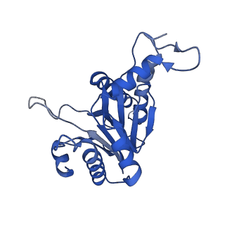 20880_6uti_A_v1-2
Allosteric coupling between alpha-rings of 20S proteasome, 20S proteasome with singly capped PAN complex