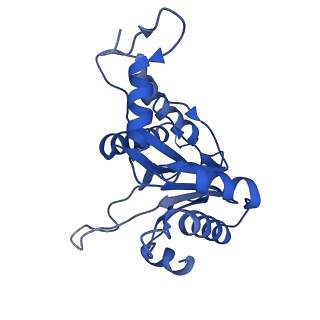 20880_6uti_B_v1-1
Allosteric coupling between alpha-rings of 20S proteasome, 20S proteasome with singly capped PAN complex