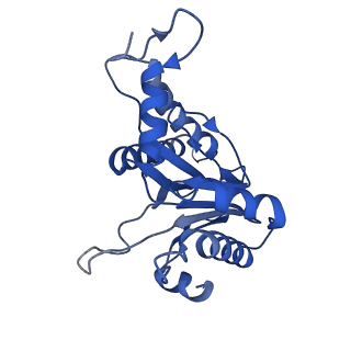 20880_6uti_B_v1-2
Allosteric coupling between alpha-rings of 20S proteasome, 20S proteasome with singly capped PAN complex