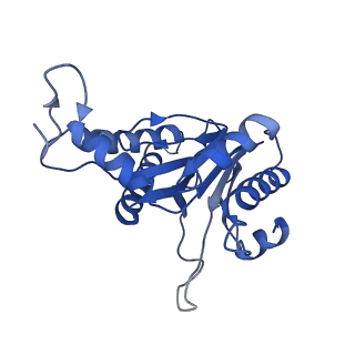 20880_6uti_C_v1-1
Allosteric coupling between alpha-rings of 20S proteasome, 20S proteasome with singly capped PAN complex
