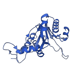 20880_6uti_D_v1-1
Allosteric coupling between alpha-rings of 20S proteasome, 20S proteasome with singly capped PAN complex