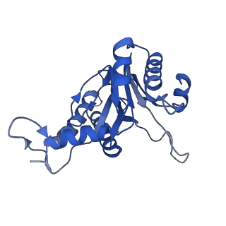 20880_6uti_D_v1-2
Allosteric coupling between alpha-rings of 20S proteasome, 20S proteasome with singly capped PAN complex