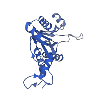 20880_6uti_E_v1-2
Allosteric coupling between alpha-rings of 20S proteasome, 20S proteasome with singly capped PAN complex