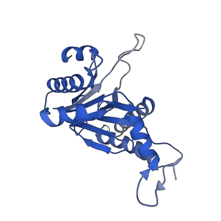 20880_6uti_F_v1-1
Allosteric coupling between alpha-rings of 20S proteasome, 20S proteasome with singly capped PAN complex