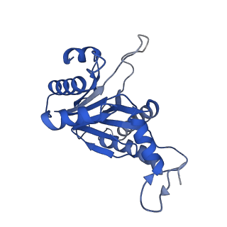 20880_6uti_F_v1-2
Allosteric coupling between alpha-rings of 20S proteasome, 20S proteasome with singly capped PAN complex