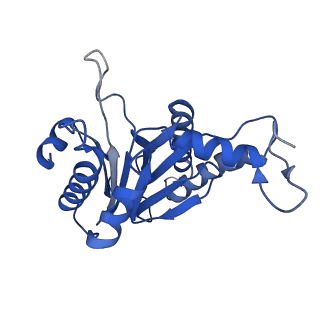 20880_6uti_G_v1-1
Allosteric coupling between alpha-rings of 20S proteasome, 20S proteasome with singly capped PAN complex