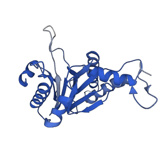 20880_6uti_G_v1-2
Allosteric coupling between alpha-rings of 20S proteasome, 20S proteasome with singly capped PAN complex