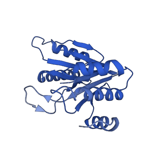 20880_6uti_H_v1-1
Allosteric coupling between alpha-rings of 20S proteasome, 20S proteasome with singly capped PAN complex