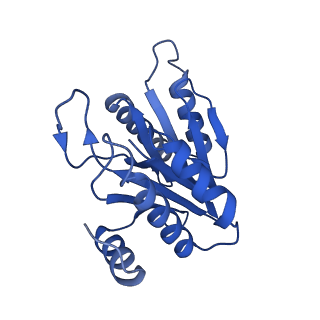 20880_6uti_I_v1-1
Allosteric coupling between alpha-rings of 20S proteasome, 20S proteasome with singly capped PAN complex