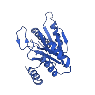 20880_6uti_I_v1-2
Allosteric coupling between alpha-rings of 20S proteasome, 20S proteasome with singly capped PAN complex