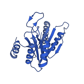 20880_6uti_J_v1-2
Allosteric coupling between alpha-rings of 20S proteasome, 20S proteasome with singly capped PAN complex