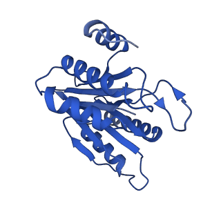 20880_6uti_L_v1-2
Allosteric coupling between alpha-rings of 20S proteasome, 20S proteasome with singly capped PAN complex