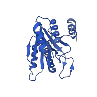 20880_6uti_M_v1-2
Allosteric coupling between alpha-rings of 20S proteasome, 20S proteasome with singly capped PAN complex