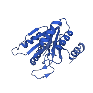 20880_6uti_N_v1-1
Allosteric coupling between alpha-rings of 20S proteasome, 20S proteasome with singly capped PAN complex