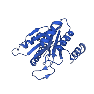 20880_6uti_N_v1-2
Allosteric coupling between alpha-rings of 20S proteasome, 20S proteasome with singly capped PAN complex