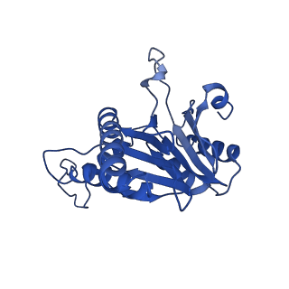 20880_6uti_O_v1-1
Allosteric coupling between alpha-rings of 20S proteasome, 20S proteasome with singly capped PAN complex