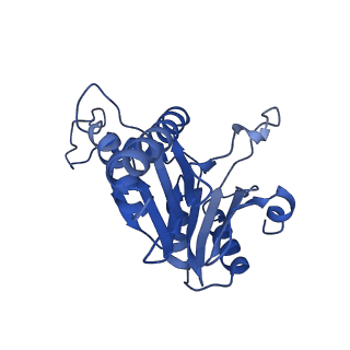 20880_6uti_P_v1-1
Allosteric coupling between alpha-rings of 20S proteasome, 20S proteasome with singly capped PAN complex
