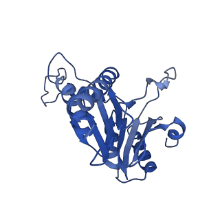 20880_6uti_P_v1-2
Allosteric coupling between alpha-rings of 20S proteasome, 20S proteasome with singly capped PAN complex