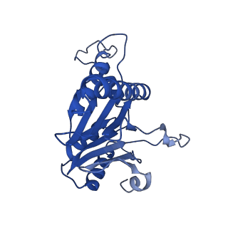 20880_6uti_Q_v1-1
Allosteric coupling between alpha-rings of 20S proteasome, 20S proteasome with singly capped PAN complex