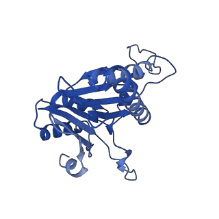 20880_6uti_R_v1-1
Allosteric coupling between alpha-rings of 20S proteasome, 20S proteasome with singly capped PAN complex