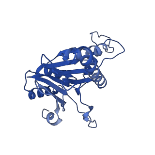 20880_6uti_R_v1-2
Allosteric coupling between alpha-rings of 20S proteasome, 20S proteasome with singly capped PAN complex