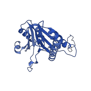 20880_6uti_S_v1-2
Allosteric coupling between alpha-rings of 20S proteasome, 20S proteasome with singly capped PAN complex