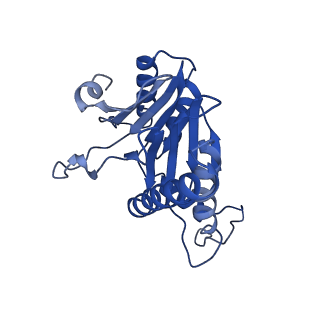 20880_6uti_T_v1-1
Allosteric coupling between alpha-rings of 20S proteasome, 20S proteasome with singly capped PAN complex